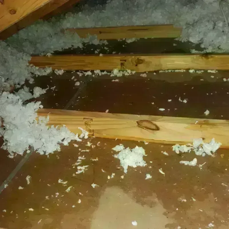 Attic Water Damage in Caliente, NV